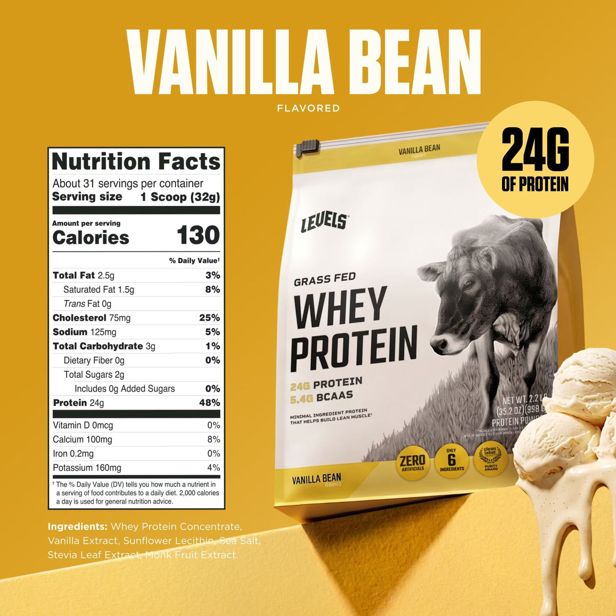 Levels Grass Fed Whey Protein Powder Vanilla Bean 2.2 lb | 24g Protein Per Serving
