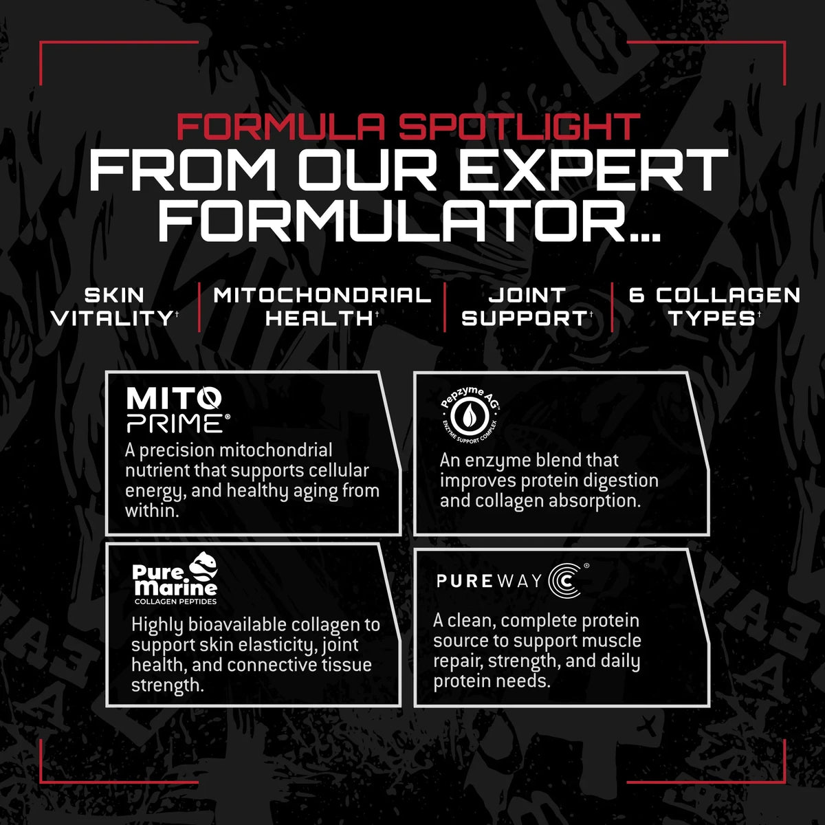 Unmatched Collagen Peptide-6 Longevity Formula*
