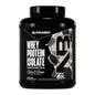 NutraBio 100% Whey Protein Isolate - 5 lb