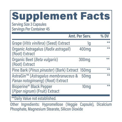 Revive Kidney Support Supplement